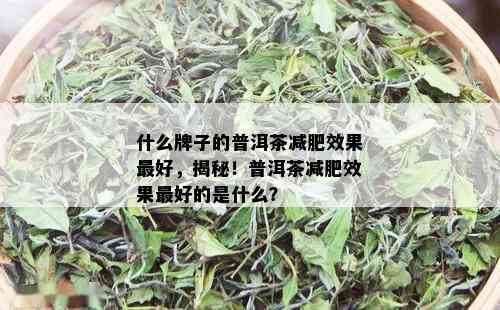 什么牌子的普洱茶减肥效果更好，揭秘！普洱茶减肥效果更好的是什么？