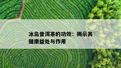 冰岛普洱茶的功效：揭示其健康益处与作用