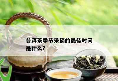 普洱茶季节采摘的更佳时间是什么？