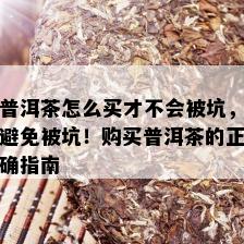 普洱茶怎么买才不会被坑，避免被坑！购买普洱茶的正确指南