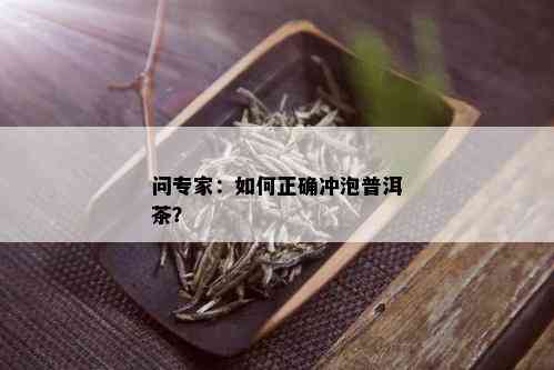 问专家：如何正确冲泡普洱茶？