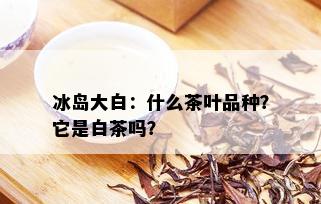 冰岛大白：什么茶叶品种？它是白茶吗？