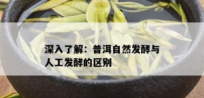 深入了解：普洱自然发酵与人工发酵的区别