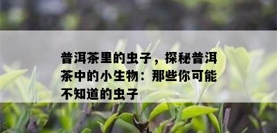 普洱茶里的虫子，探秘普洱茶中的小生物：那些你可能不知道的虫子