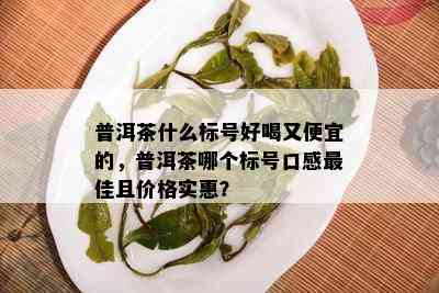 普洱茶什么标号好喝又便宜的，普洱茶哪个标号口感更佳且价格实惠？