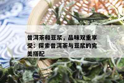 普洱茶和豆浆，品味双重享受：探索普洱茶与豆浆的完美搭配