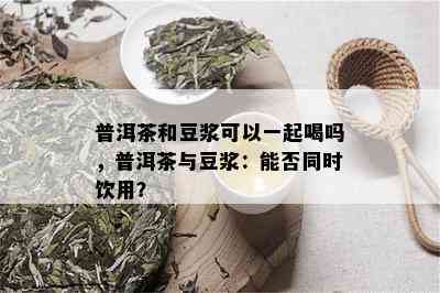 普洱茶和豆浆可以一起喝吗，普洱茶与豆浆：能否同时饮用？