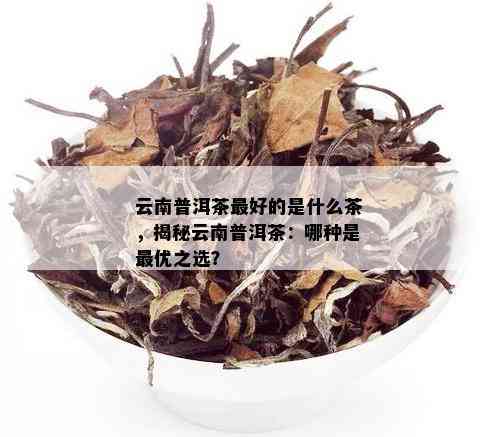 云南普洱茶更好的是什么茶，揭秘云南普洱茶：哪种是更优之选？