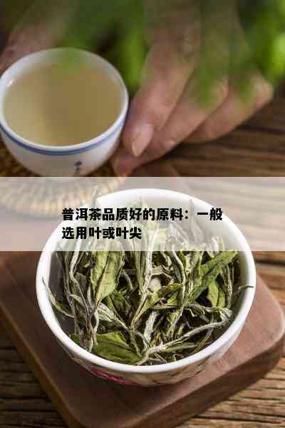 普洱茶品质好的原料：一般选用叶或叶尖