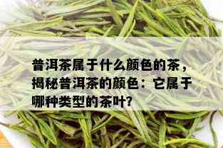 普洱茶属于什么颜色的茶，揭秘普洱茶的颜色：它属于哪种类型的茶叶？