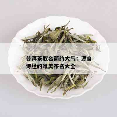 普洱茶取名简约大气：源自诗经的唯美茶名大全