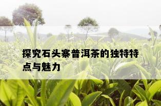 探究石头寨普洱茶的独特特点与魅力