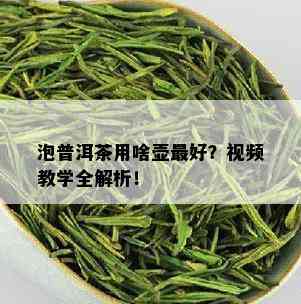 泡普洱茶用啥壶更好？视频教学全解析！