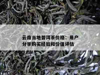 云南当地普洱茶价格：用户分享购买经验和价值评估