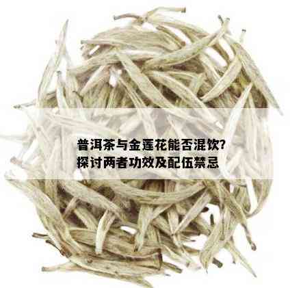 普洱茶与金莲花能否混饮？探讨两者功效及配伍禁忌