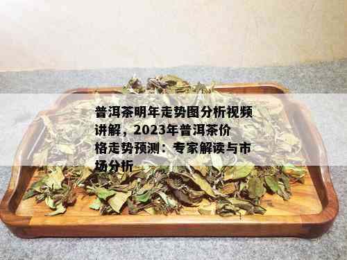 普洱茶明年走势图分析视频讲解，2023年普洱茶价格走势预测：专家解读与市场分析