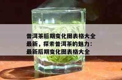 普洱茶后期变化图表格大全最新，探索普洱茶的魅力：最新后期变化图表格大全