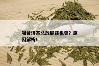 喝普洱茶总放屁还很臭？原因解析！