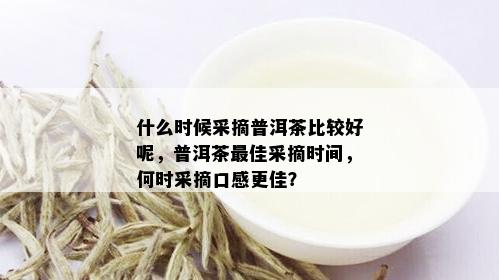 什么时候采摘普洱茶比较好呢，普洱茶更佳采摘时间，何时采摘口感更佳？