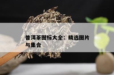 普洱茶图标大全：精选图片与集合