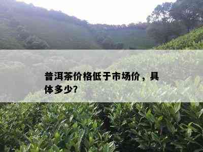 普洱茶价格低于市场价，具体多少？