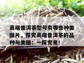 高端普洱茶型号有哪些种类图片，探究高端普洱茶的品种与美图：一探究竟！