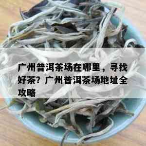 广州普洱茶场在哪里，寻找好茶？广州普洱茶场地址全攻略