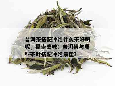 普洱茶搭配冲泡什么茶好喝呢，探索美味：普洱茶与哪些茶叶搭配冲泡更佳？