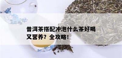 普洱茶搭配冲泡什么茶好喝又营养？全攻略！