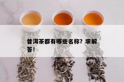 普洱茶都有哪些名称？求解答！