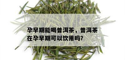 孕早期能喝普洱茶，普洱茶在孕早期可以饮用吗？