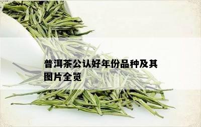 普洱茶公认好年份品种及其图片全览