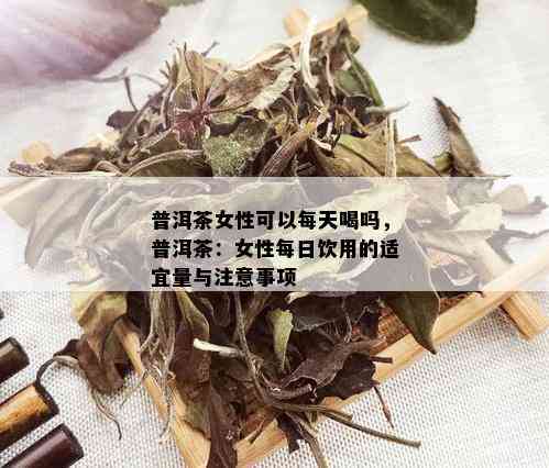 普洱茶女性可以每天喝吗，普洱茶：女性每日饮用的适宜量与注意事项