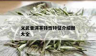 义武普洱茶特性特征介绍图大全