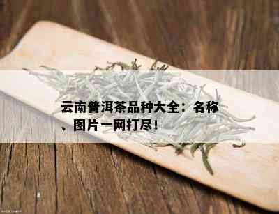 云南普洱茶品种大全：名称、图片一网打尽！