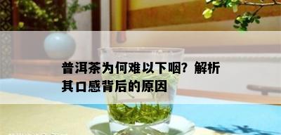 普洱茶为何难以下咽？解析其口感背后的原因