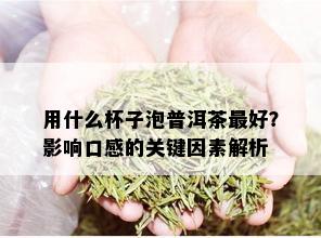 用什么杯子泡普洱茶更好？影响口感的关键因素解析