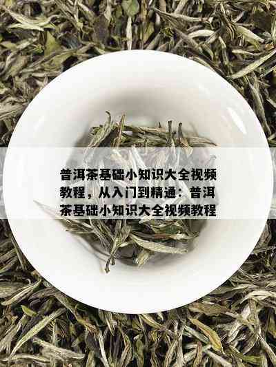 普洱茶基础小知识大全视频教程，从入门到精通：普洱茶基础小知识大全视频教程