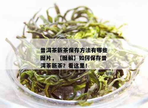 普洱茶新茶保存方法有哪些图片，【图解】如何保存普洱茶新茶？看这里！