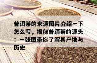 普洱茶的来源图片介绍一下怎么写，揭秘普洱茶的源头：一张图带你了解其产地与历史