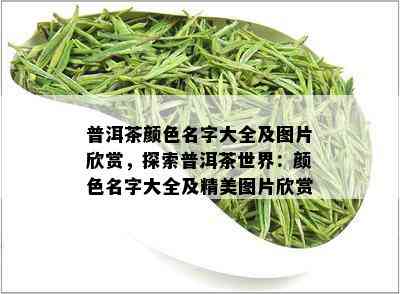 普洱茶颜色名字大全及图片欣赏，探索普洱茶世界：颜色名字大全及精美图片欣赏