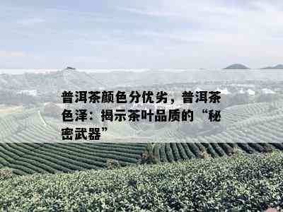 普洱茶颜色分优劣，普洱茶色泽：揭示茶叶品质的“秘密武器”