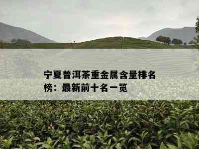 宁夏普洱茶重金属含量排名榜：最新前十名一览