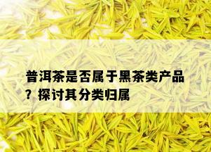 普洱茶是否属于黑茶类产品？探讨其分类归属