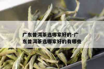 广东普洱茶选哪家好的-广东普洱茶选哪家好的有哪些