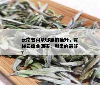 云南普洱茶哪里的更好，探秘云南普洱茶：哪里的更好？