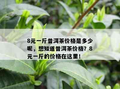 8元一斤普洱茶价格是多少呢，想知道普洱茶价格？8元一斤的价格在这里！