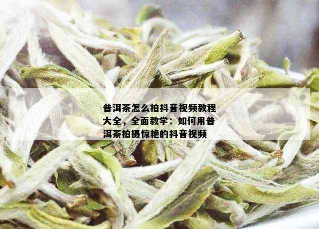 普洱茶怎么拍抖音视频教程大全，全面教学：如何用普洱茶拍摄惊艳的抖音视频