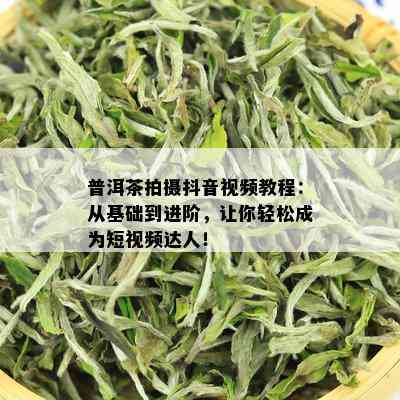 普洱茶拍摄抖音视频教程：从基础到进阶，让你轻松成为短视频达人！