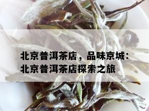 北京普洱茶店，品味京城：北京普洱茶店探索之旅